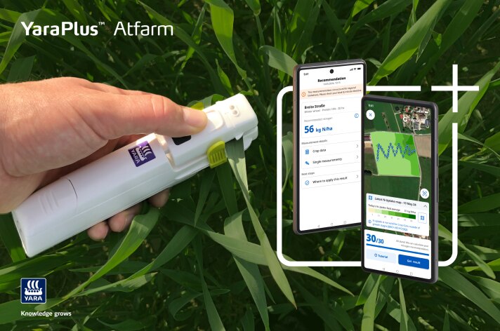 A hand holding the N-Tester in a crop, with the app showing a nitrogen recommendation